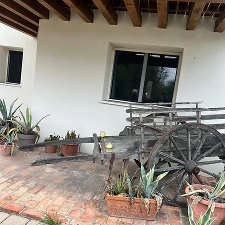Garden House Padova Apartman *