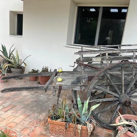Garden House Padova